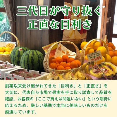 【ジューシーで甘い】香川県産デコポンを旬の味覚として楽しむ　デコポン　1箱
