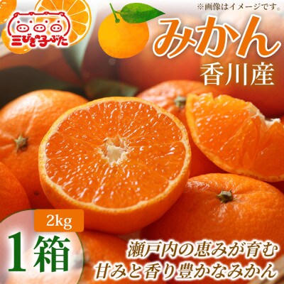 【甘さと酸味の絶妙】香川県産極上みかんを家族みんなで味わう　みかん(ハウス)(2kg)1箱