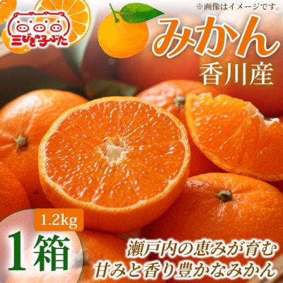【甘さと酸味の絶妙】香川県産極上みかんを家族みんなで味わう　みかん(ハウス)(1.2kg)1箱