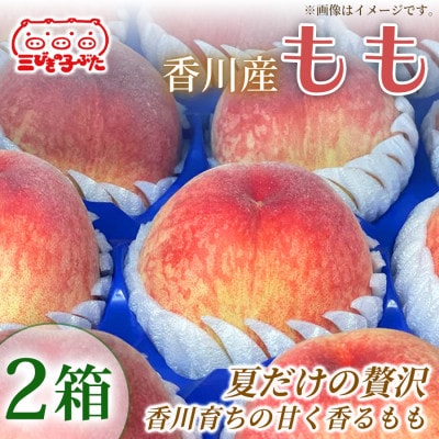 【とろけるジューシー】香川産大玉ももで贅沢なひととき もも　2箱