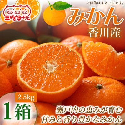 【甘さと酸味の絶妙】香川県産極上みかんを家族みんなで味わう　みかん(露地物)(2.5kg)1箱
