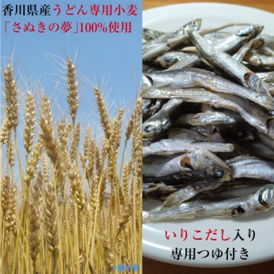 「カマタマーレ讃岐」×「麺棒」讃岐夢かけうどん4食×2箱