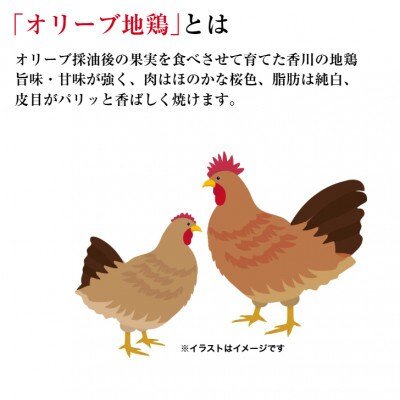 讃岐うどんと香川名産品「オリーブ地鶏」の焼鳥