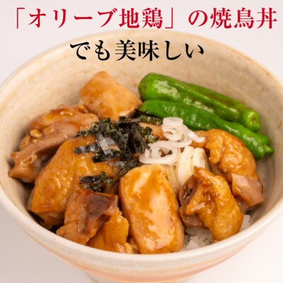 讃岐うどんと香川名産品「オリーブ地鶏」の焼鳥