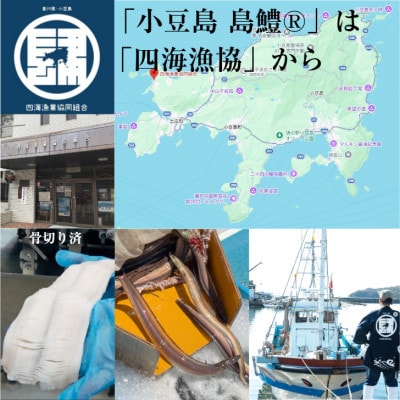 讃岐うどんと香川名産品「小豆島島鱧」の煮付け