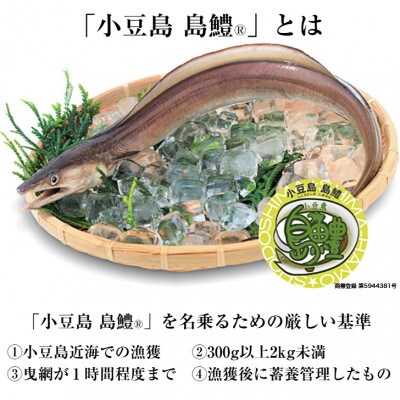 讃岐うどんと香川名産品「小豆島島鱧」の煮付け