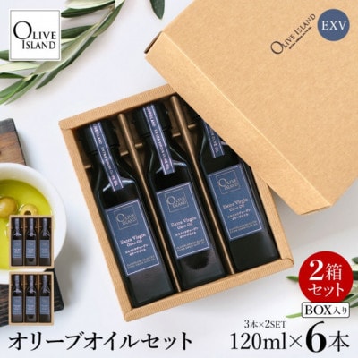 エキストラバージン(EXV)オリーブオイル3本入ギフト2セット(120ml×3本×2)