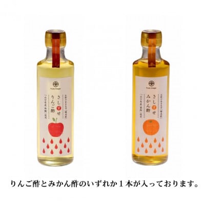 やまぐち三ツ星セレクション詰合せセット