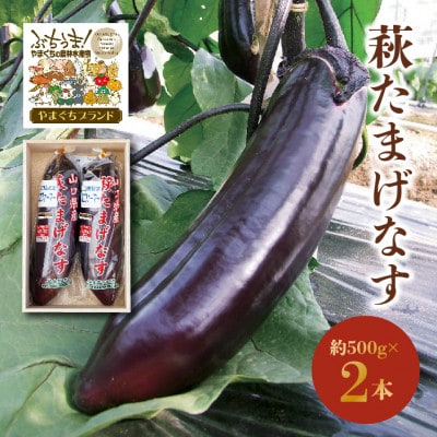 萩たまげなす(山口県)