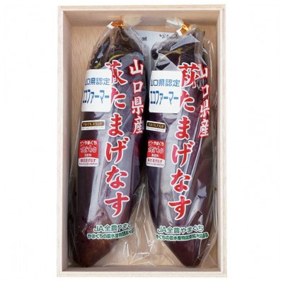 萩たまげなす(山口県)
