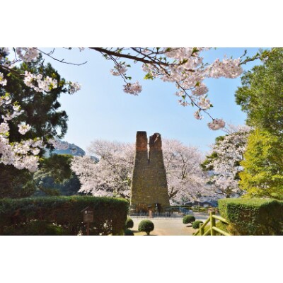 山口県オーダーメイド旅行クーポン『60,000円分』