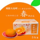 【2026年3月より順次発送】ゆめほっぺ