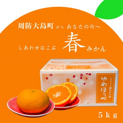 【2026年3月より順次発送】ゆめほっぺ