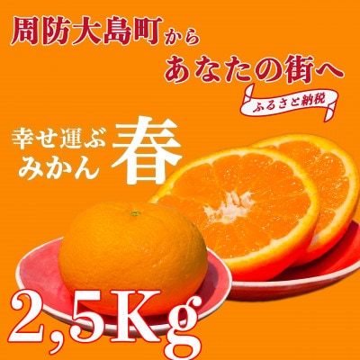 【2026年3月より順次発送】ゆめほっぺ 2.5kg