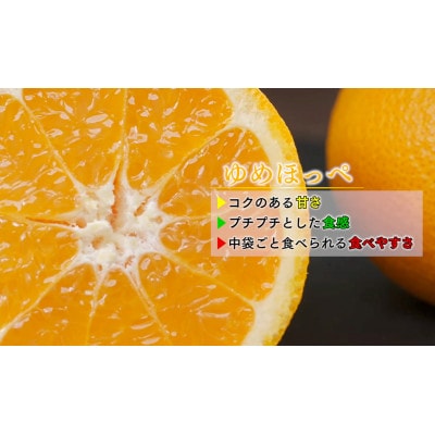 【2026年3月より順次発送】ゆめほっぺ 2.5kg