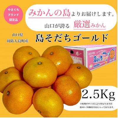 島そだちゴールド(中生高糖) 2.5kgみかんの島からお届けする温州みかん【やまぐちブランド認定品】