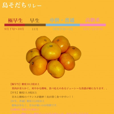 島そだちゴールド(中生高糖) 2.5kgみかんの島からお届けする温州みかん【やまぐちブランド認定品】