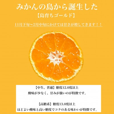 島そだちゴールド(中生高糖) 2.5kgみかんの島からお届けする温州みかん【やまぐちブランド認定品】