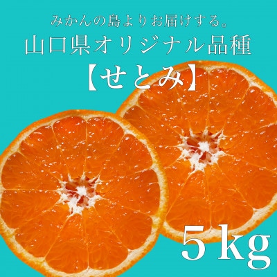 山口県が誇るオリジナル柑橘【せとみ】5kg《2月下旬～3月にかけて順次発送》