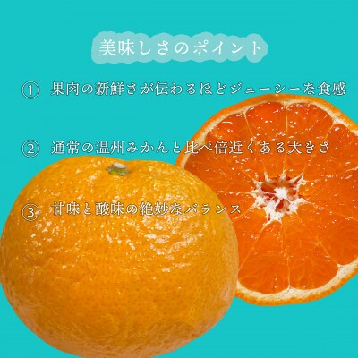 山口県が誇るオリジナル柑橘【せとみ】5kg《2月下旬～3月にかけて順次発送》