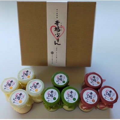 山口県のご当地幸福(しあわせ)ぷりん いろいろ10個詰合せセット