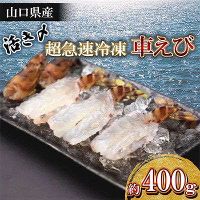 活き〆超急速冷凍車えび(約400g)