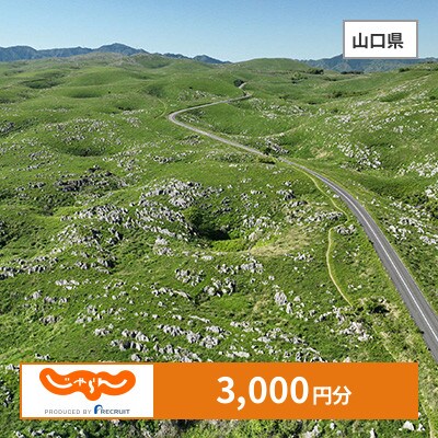 【じゃらんふるさと納税クーポン】 山口県でつかえる3,000円 クーポン