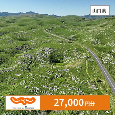 【じゃらんふるさと納税クーポン】 山口県でつかえる27,000円 クーポン