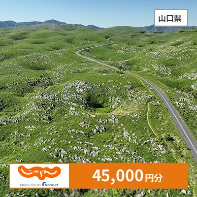 【じゃらんふるさと納税クーポン】 山口県でつかえる45,000円 クーポン