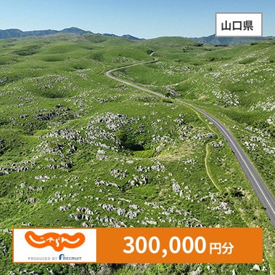 【じゃらんふるさと納税クーポン】 山口県でつかえる300,000円 クーポン