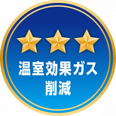 神川の梨 彩玉 (2玉)　計1.8k～2.0kg