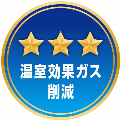 神川の梨　幸水 (2玉)　計1.8～2.0kg