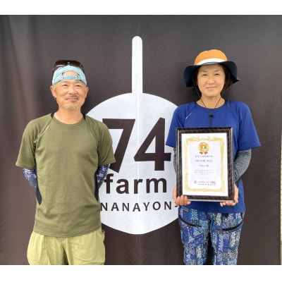 神川の梨　幸水 (2玉)　計1.8～2.0kg