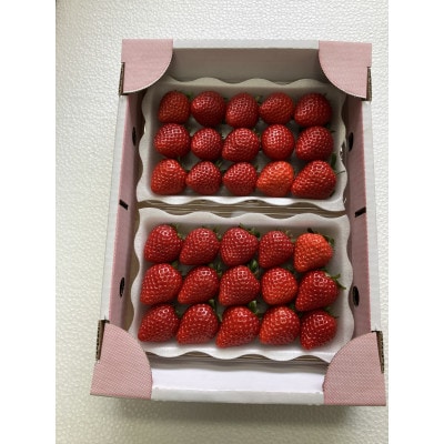【特選】あまりん(イチゴ)L～3Lサイズ　230g×2パック