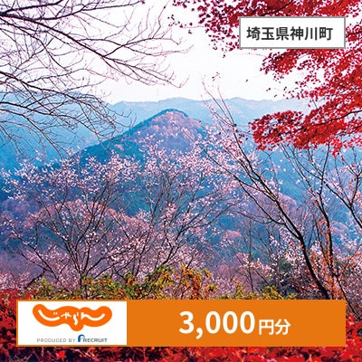 【じゃらんふるさと納税クーポン】 埼玉県神川町でつかえる3,000円 クーポン