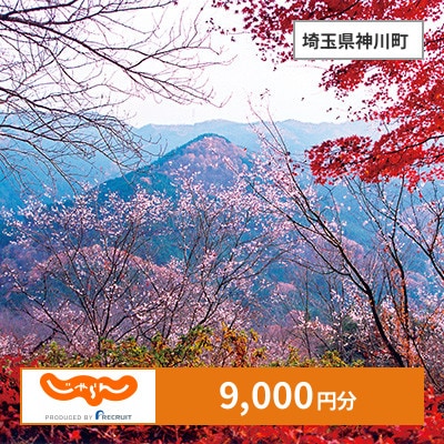 【じゃらんふるさと納税クーポン】 埼玉県神川町でつかえる9,000円 クーポン