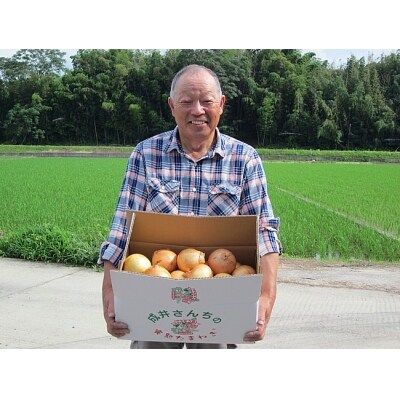 成井さんちの完熟たまねぎ(10kg)◆O-07