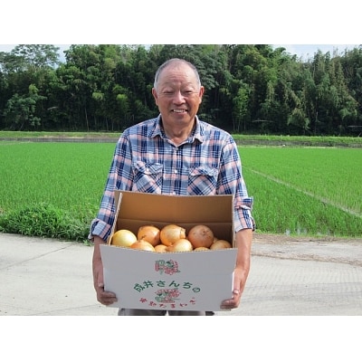 【2022年春収穫品先行受付】成井さんちの完熟たまねぎ(10kg):O-07
