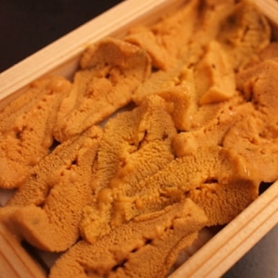 淡路島由良の赤ウニ8枚 B139 お礼品詳細 ふるさと納税なら さとふる