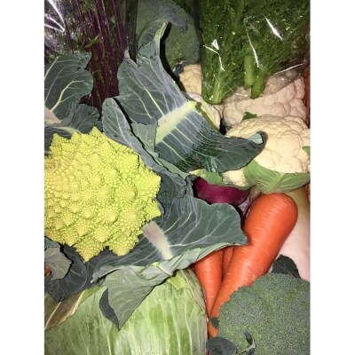 【兵庫県認証食品取得】川渕さんちの季節の野菜&るつぼやカレー5個セット◆EG09