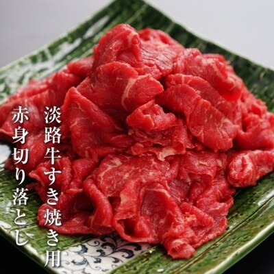 ふるさと納税でおすすめの 和牛切り落とし ランキング常連 ふるさと納税の達人21