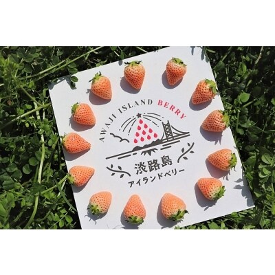 淡路島産 白いちご 淡雪 生果実 Ec01 お礼品詳細 ふるさと納税なら さとふる