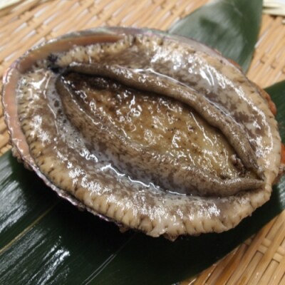 特大 淡路産天然活きアワビ 赤 1個300 350g B127 お礼品詳細 ふるさと納税なら さとふる 特大 淡路産天然活きアワビ 赤 1個300 350g B127 お礼品詳細 ふるさと納税なら さとふる