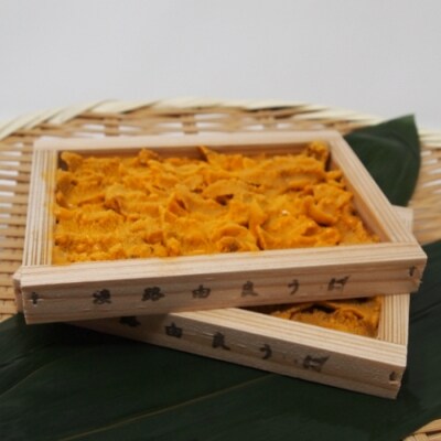 3月以降配送 淡路島由良の黒うに2枚 B046 お礼品詳細 ふるさと納税なら さとふる