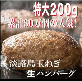 ハンバーグ 人気特産品おすすめランキング 週間 ふるさと納税サイト さとふる
