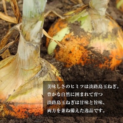 【2~3ヶ月待ち】累計100万個突破!淡路島玉ねぎ生ハンバーグ特大200g 10個セット:BYB2