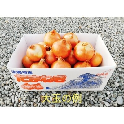 淡路島産 玉葱 10kg 中生大玉:CYA6