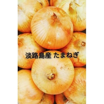 淡路島産 玉葱 10kg 中生大玉:CYA6