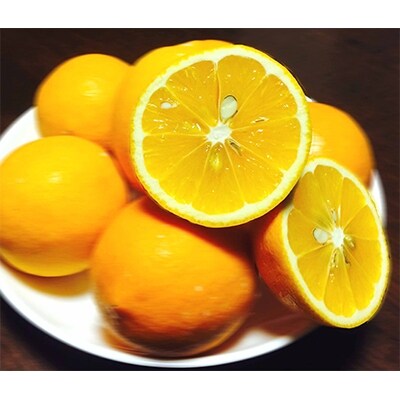 蜂久農園のレモン　約3キロ