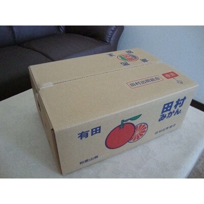 田村みかん 約5kg入